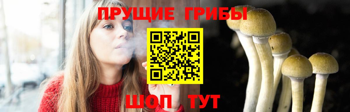 Галлюциногенные грибы Cubensis  Вход с VPN  Курган 